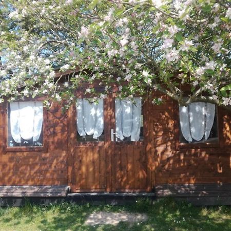 Chambre Studio Photo Chalet Sdb Partagee A Proximite Chavagne Bagian luar foto